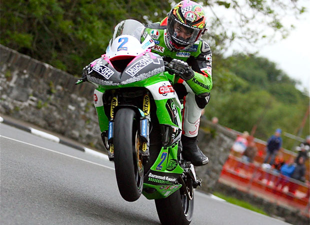 James Hillier Quattro Plant