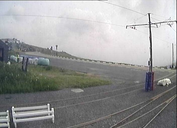 Dept of Infrastructure Bungalow webcam 10.56am 